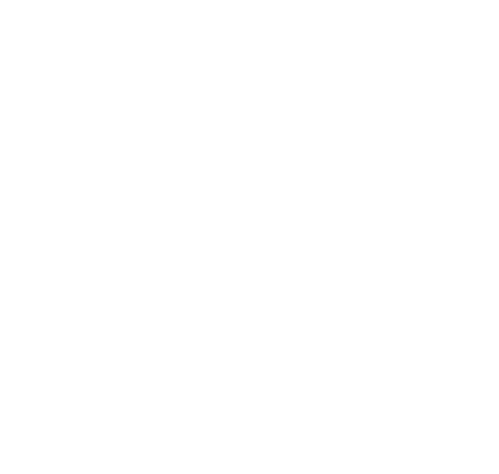 Virtual Preparatory Academy